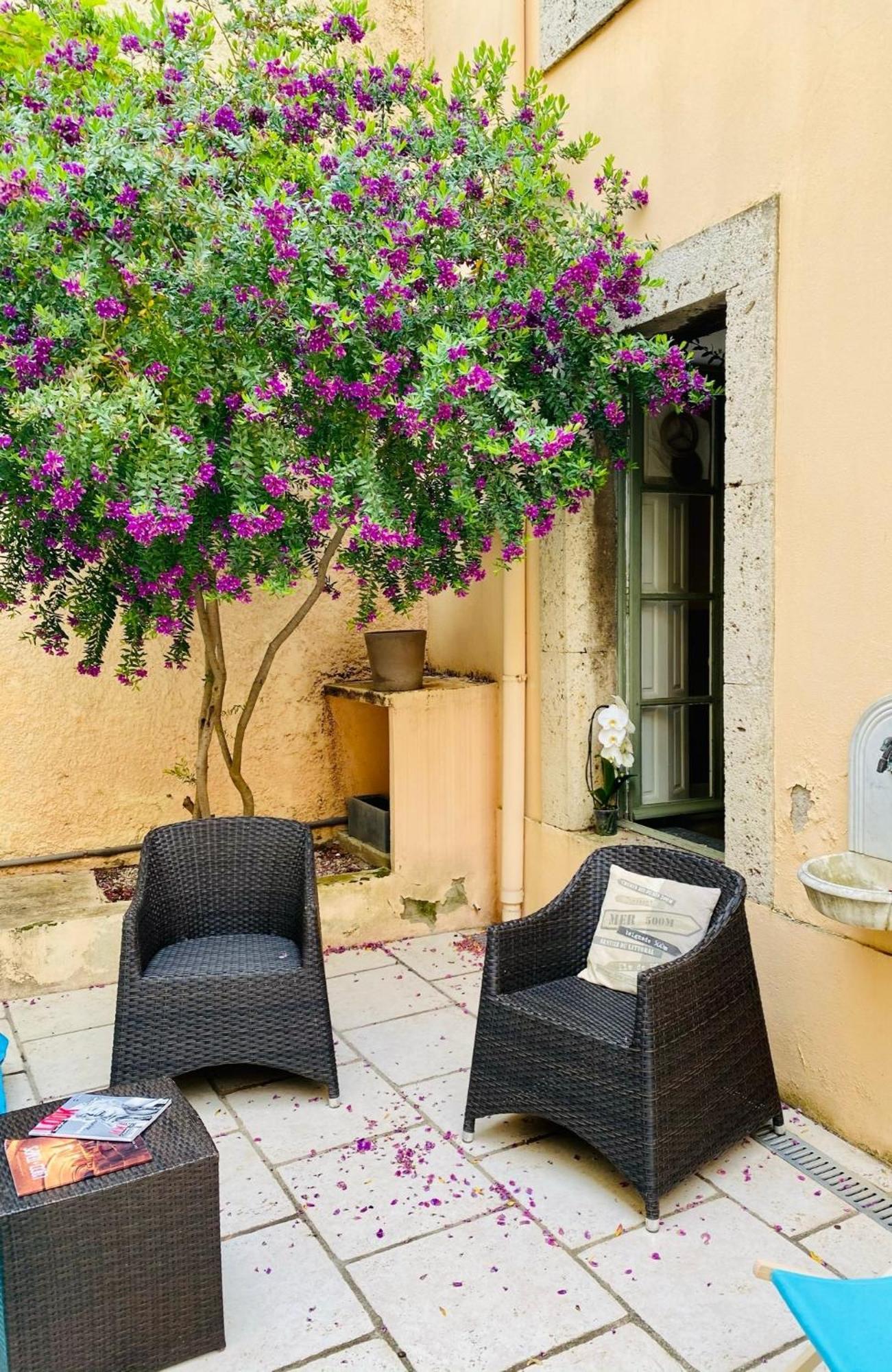 Les Chambres De La Villa Eugenie Lézignan-Corbières エクステリア 写真